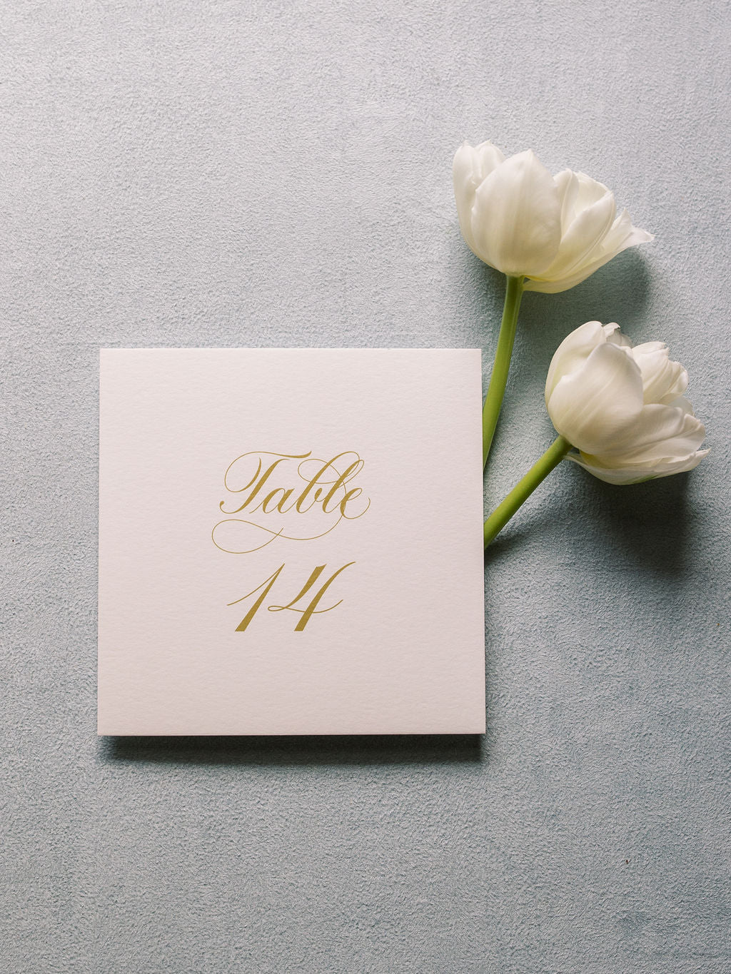 Morgan | Wedding Table Numbers