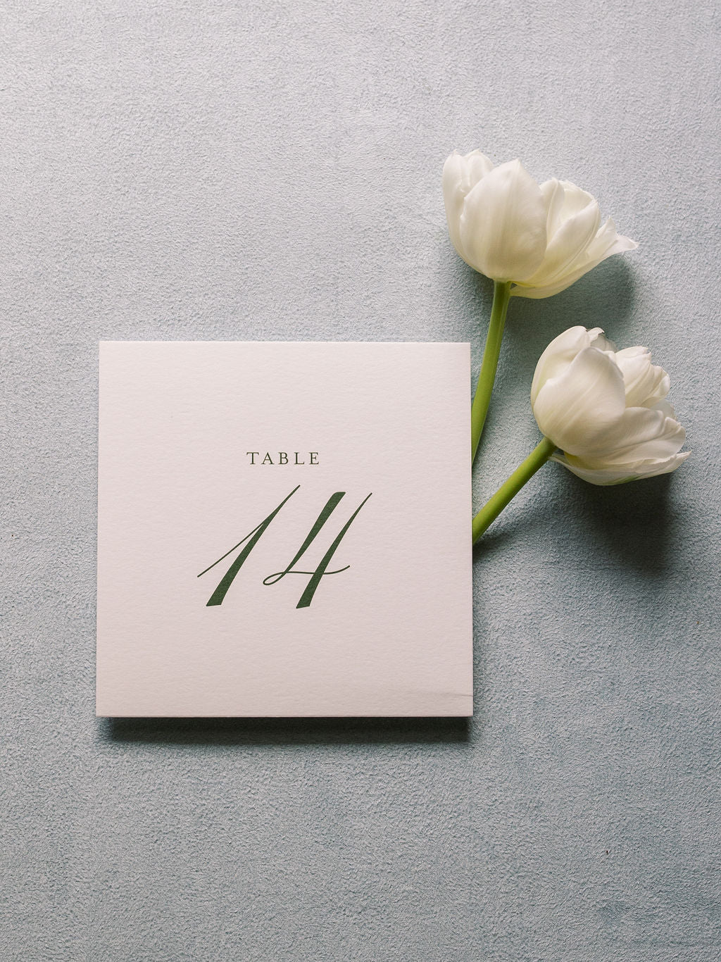 Emily | Wedding Table Numbers