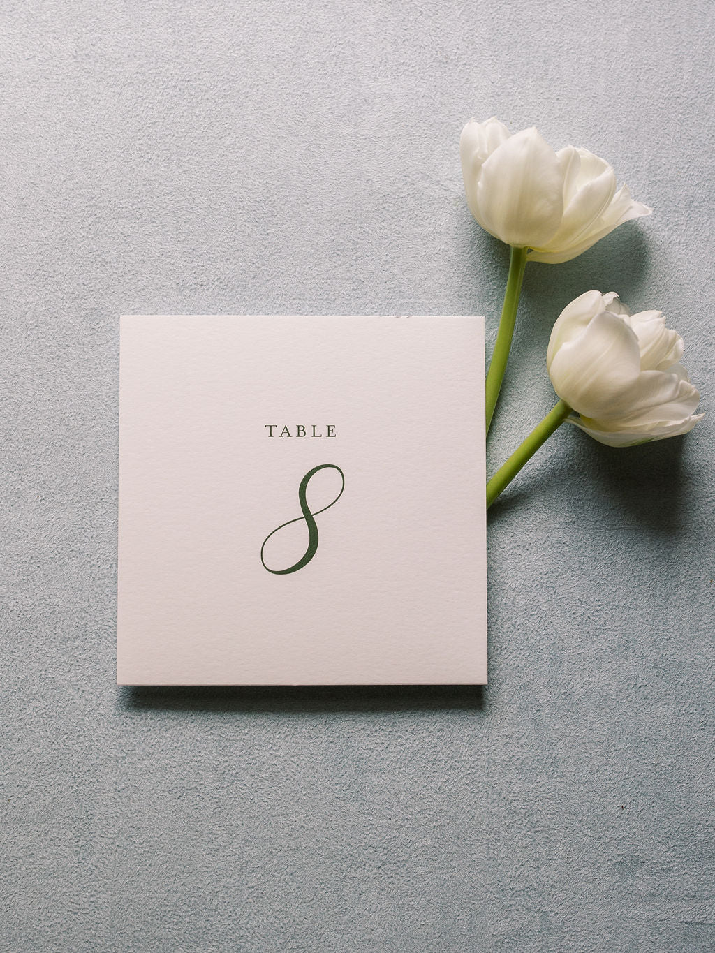 Emily | Wedding Table Numbers